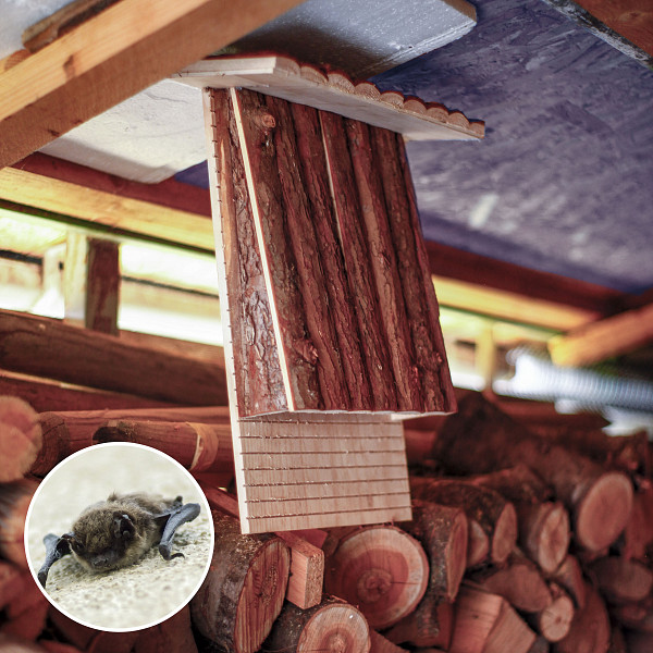 Gnezdilnica za netopirje