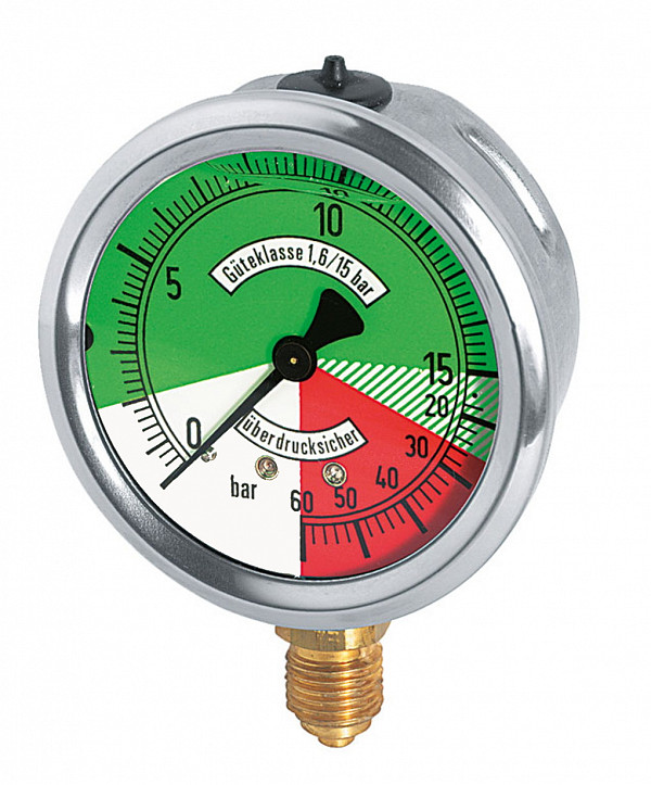 Manometer z izometrično skalo 60 bar