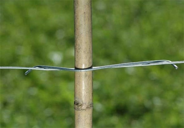 Sponke za bambus količke